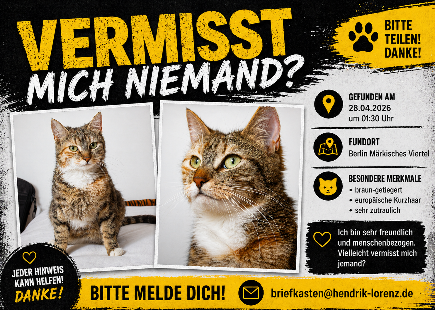 Katze zugelaufen